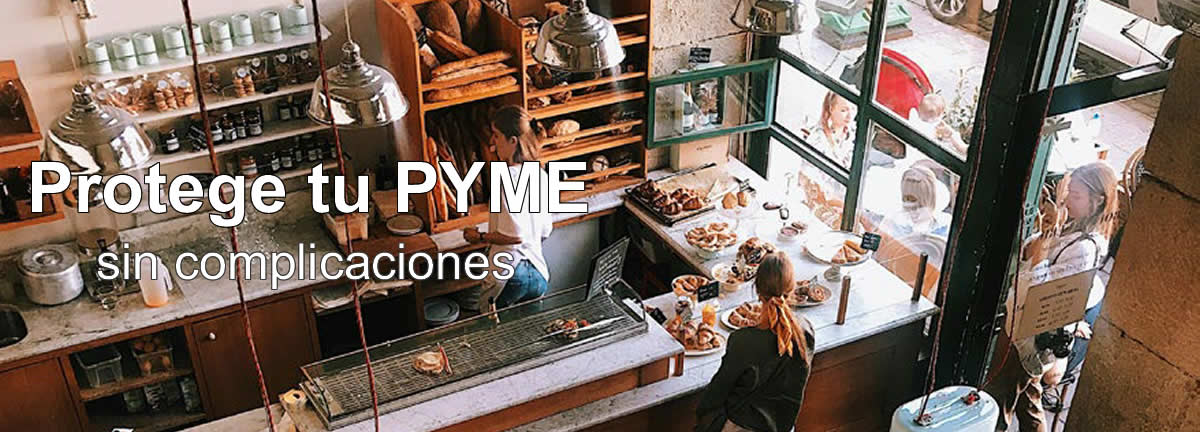 Protege tu pyme sin complicaciones